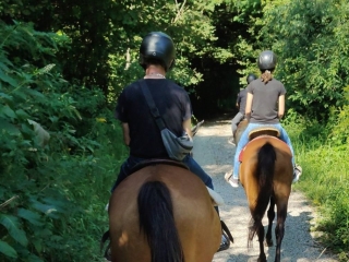 A caballo por el campo del Ticino + asado (3h)