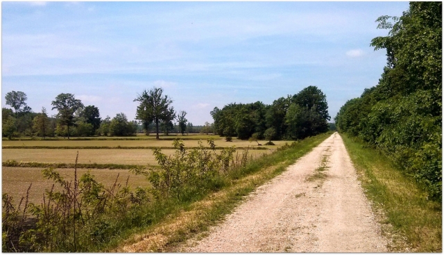  A caballo en el Parque del Ticino 