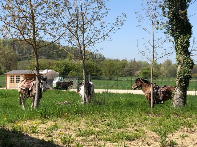  Bajo el sol y libres
