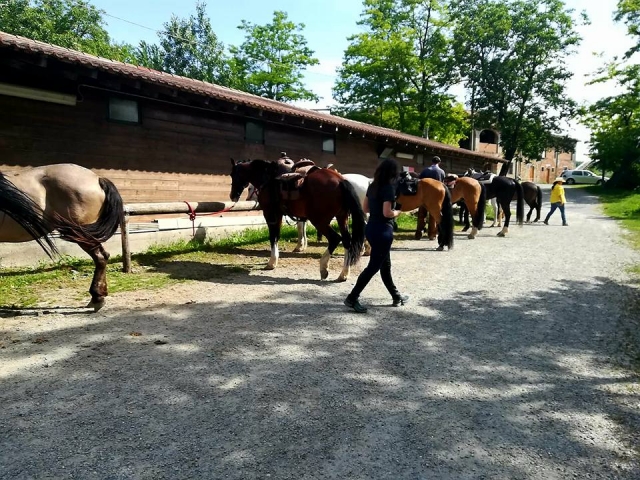  Los caballos 