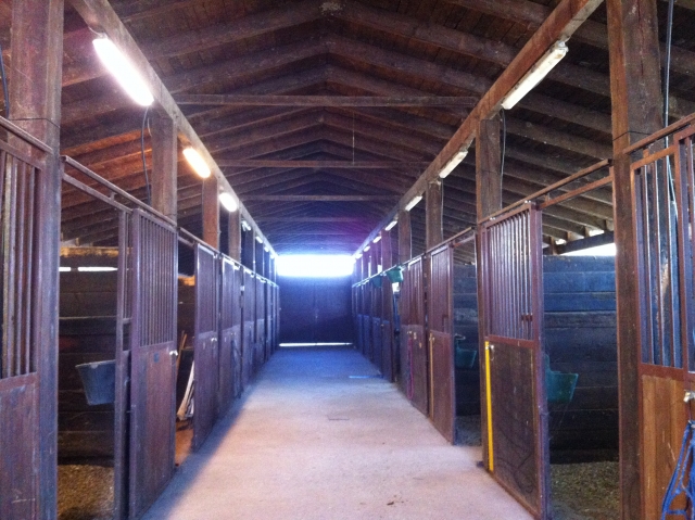  paddock 