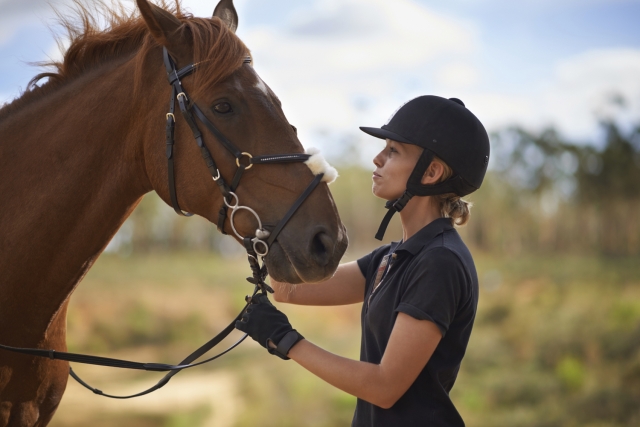 subir a caballo 