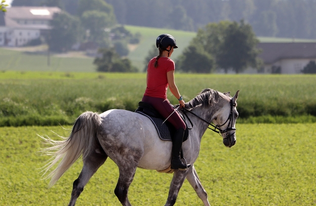  a caballo