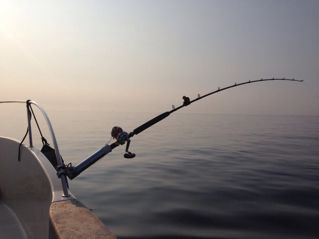 Pesca en alta mar 
