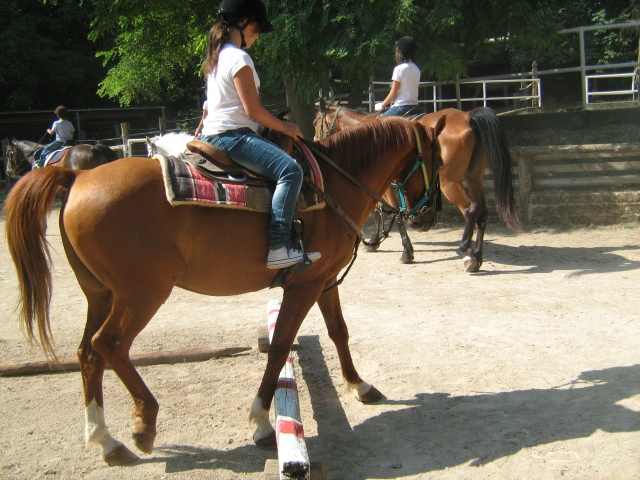  niños a caballo