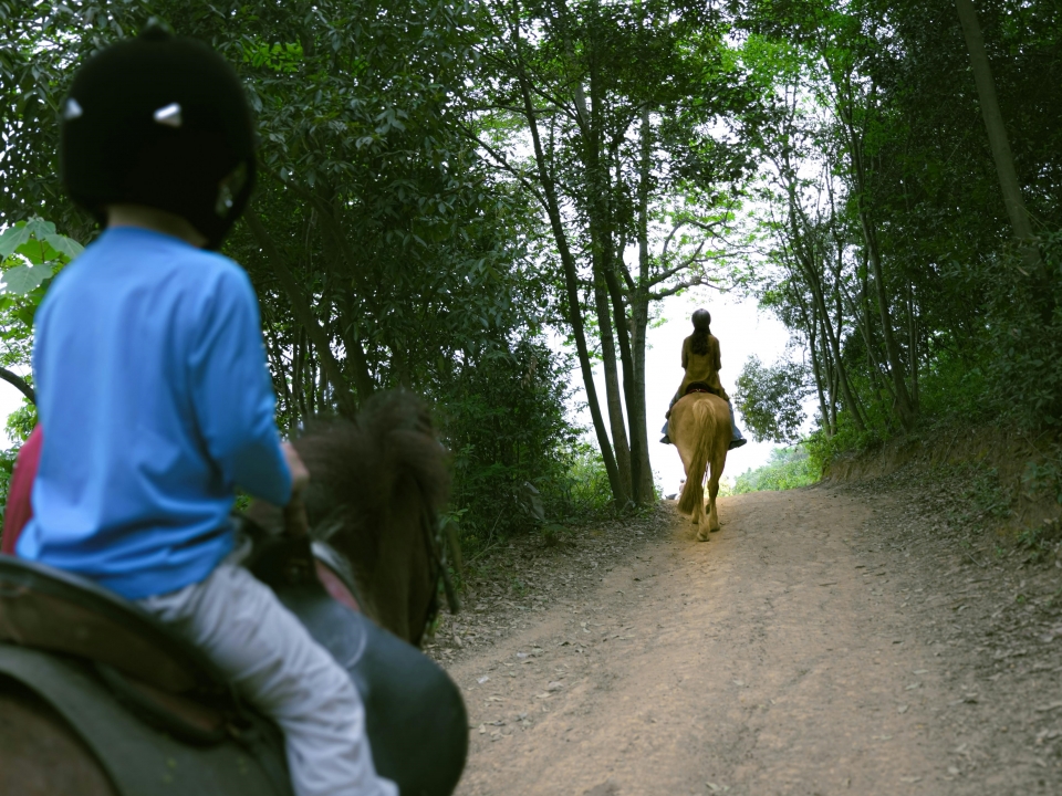  Pbaños a caballo para niños