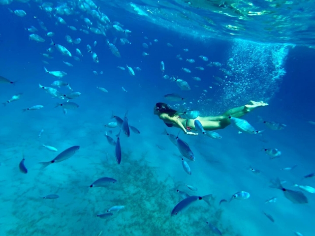  Snorkel entre peces 