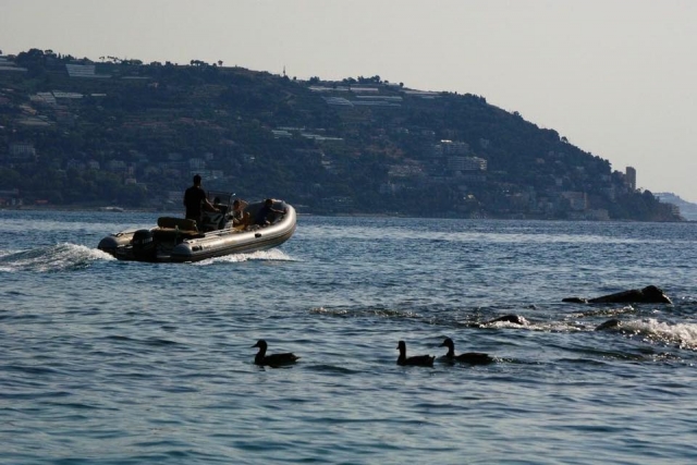  El mar de Liguria 