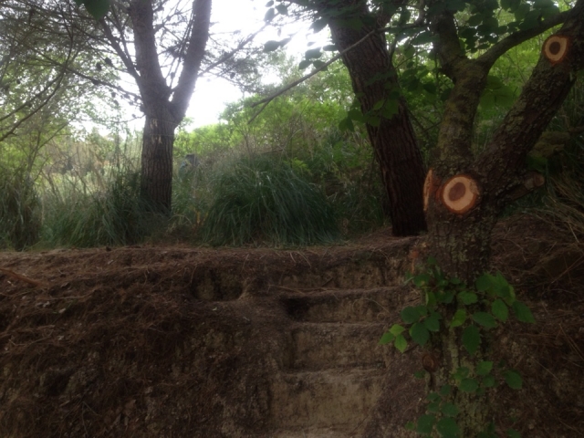 La armonía de la naturaleza 