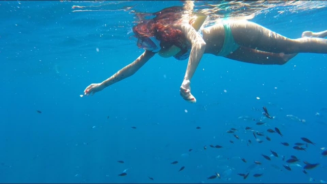  Entre las aguas cristalinas 