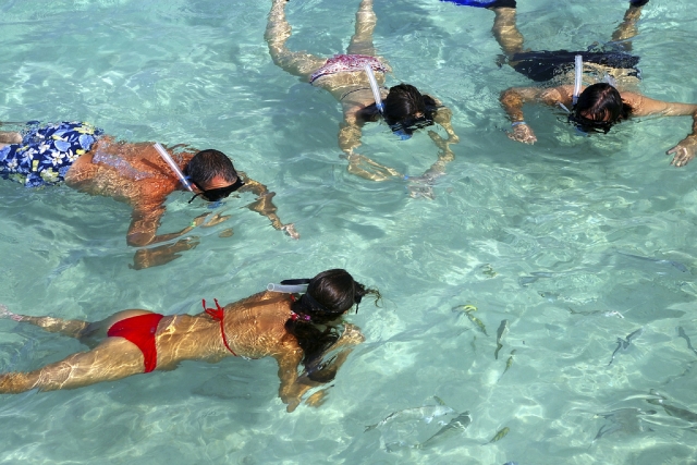 Pruebas de snorkel 