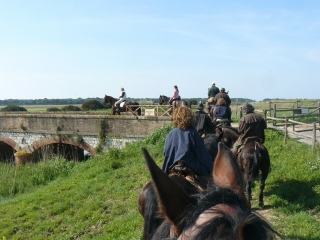 Seis días + paseo a caballo por el Parque Maremma