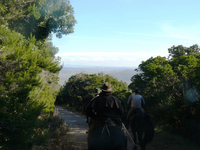  caminos de herradura 