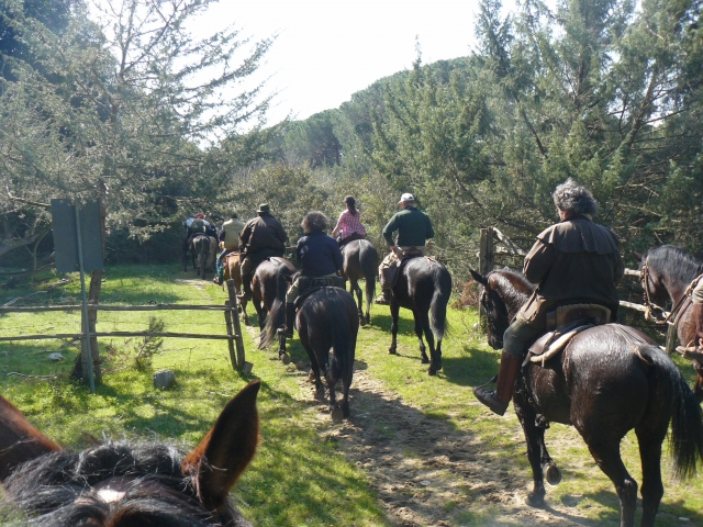  maremma 