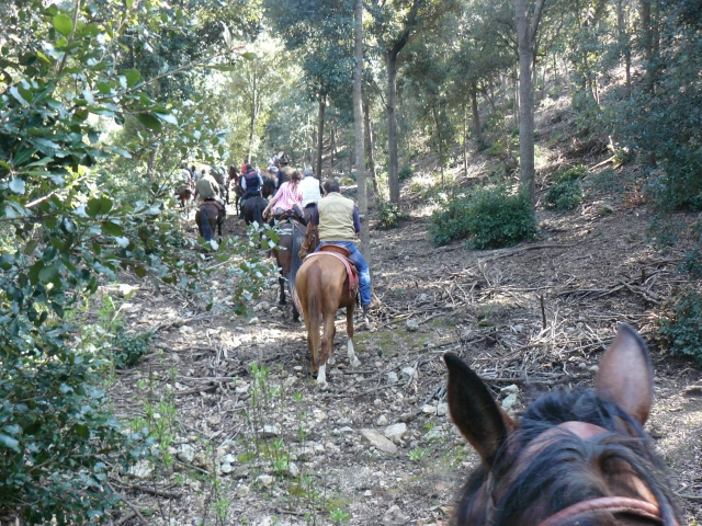  parque forestal 