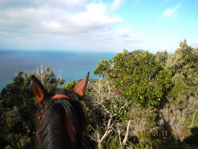 mar y caballos 