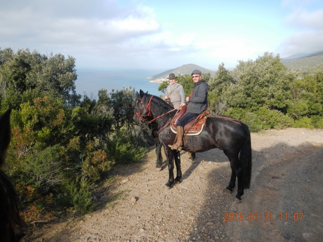  camino de cannelle 
