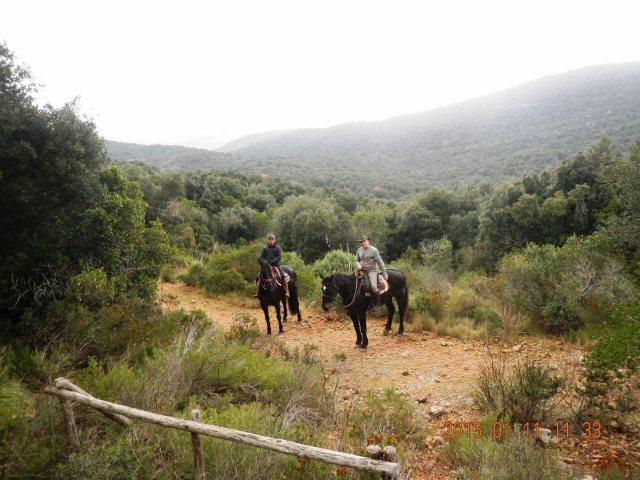  senderos en el bosque 