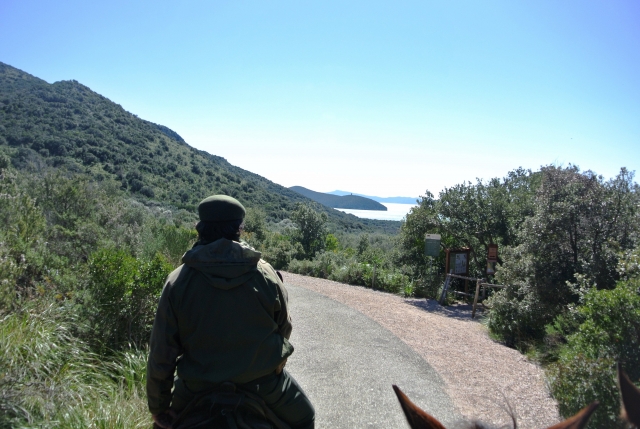  camino de olivos 