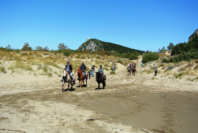  caballos en la playa 