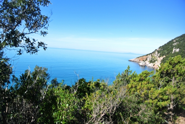  caballo con vista al mar 