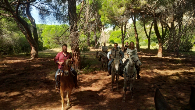  pinar Caballo de la Maremma 