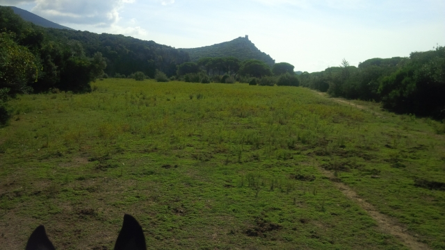 Maremma y sus maravillas 