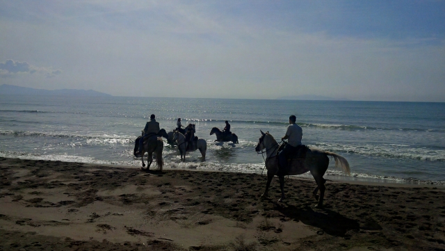  a caballo en la playa 