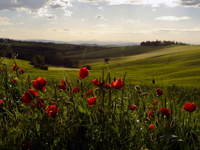 La campiña toscana, una maravilla 