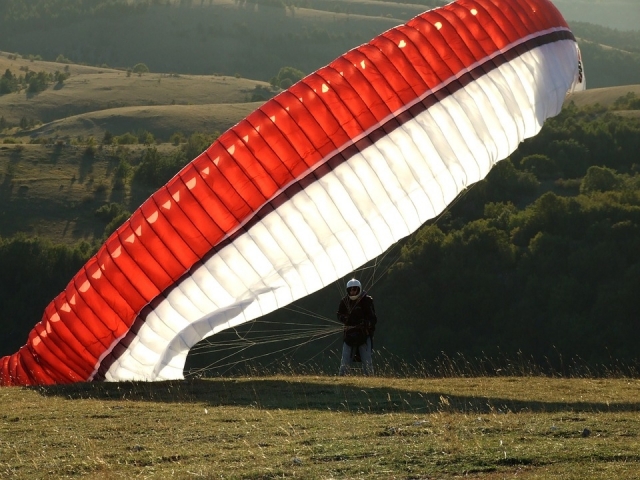  parapenle 