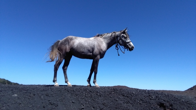  Paseo por los senderos de cerro 