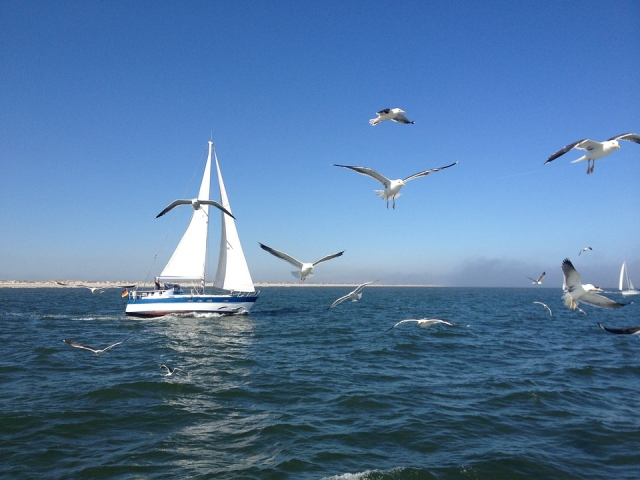 disfruta de la tranquilidad del mar 