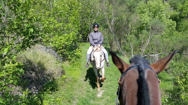  Todos alineados a caballo 