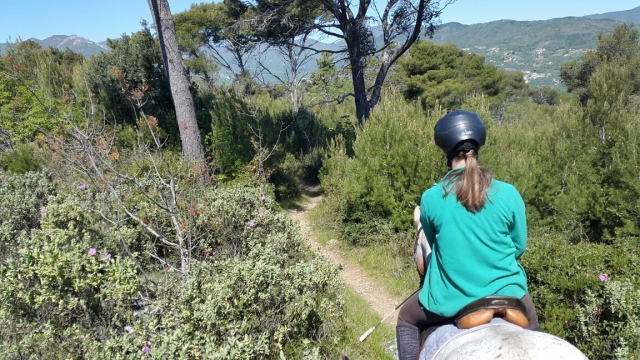  A caballo por el camino de tierra 