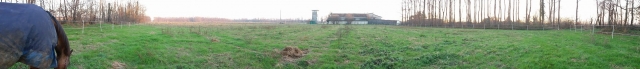  campone inerba.jpg
