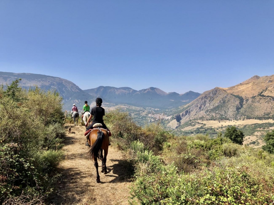  Caminando entre el verdor 