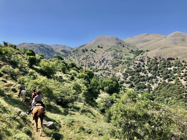  Inmerso en la naturaleza 