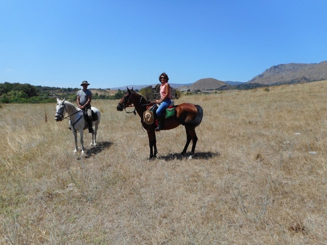  Subiendo nuestros espléndidos caballos 