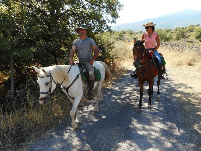  Venga a descubrir la zona 