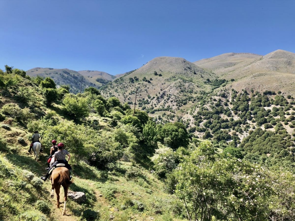  Rodeado de vegetación 