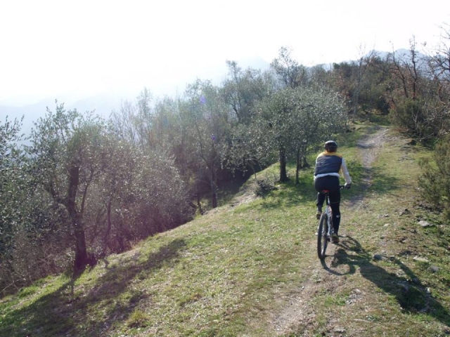  Andar en bicicleta por el parque