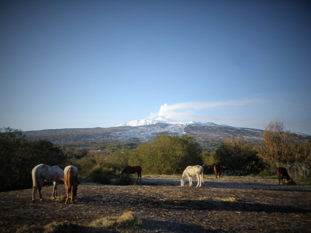 Etna que espectáculo 