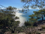Subir a caballo Cinque Terre 2h