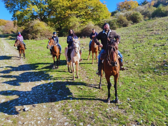  De camino 