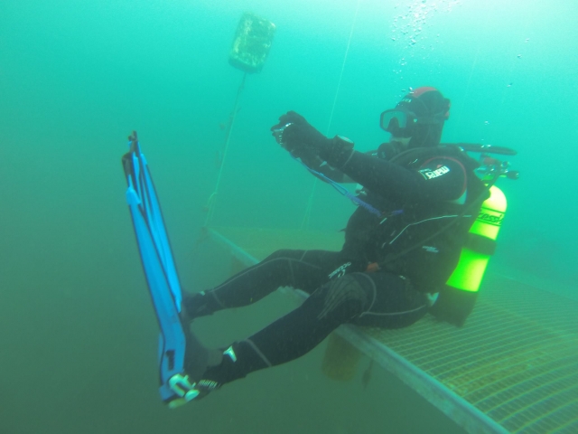  Buceo 