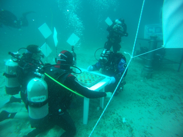 Un juego bastanle especial