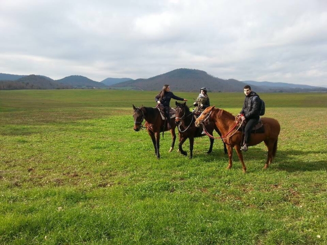 Pbaños a caballo en el verde 
