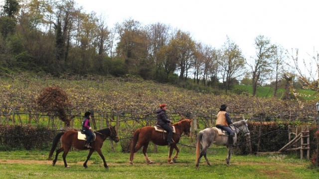 Pbaños a caballo 