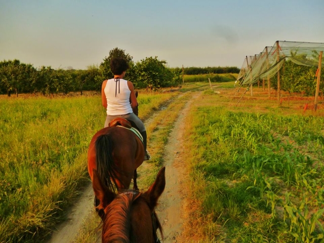 Excursión 