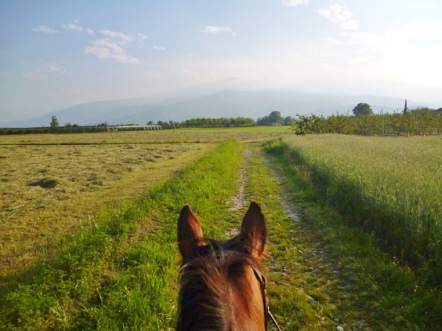 A caballo en el verdor 